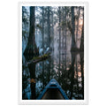 Bayou Fog