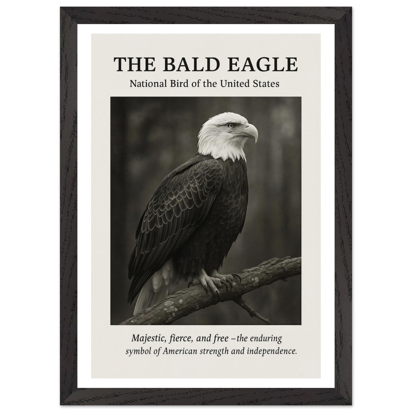 The Bald Eagle – Canvas Art Print | Canvas of America
