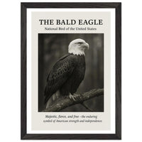 The Bald Eagle – Canvas Art Print | Canvas of America
