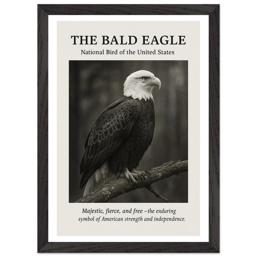 The Bald Eagle – Canvas Art Print | Canvas of America