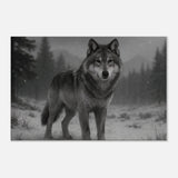 American Grey Wolf – Canvas Art Print | Canvas of America