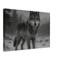 American Grey Wolf