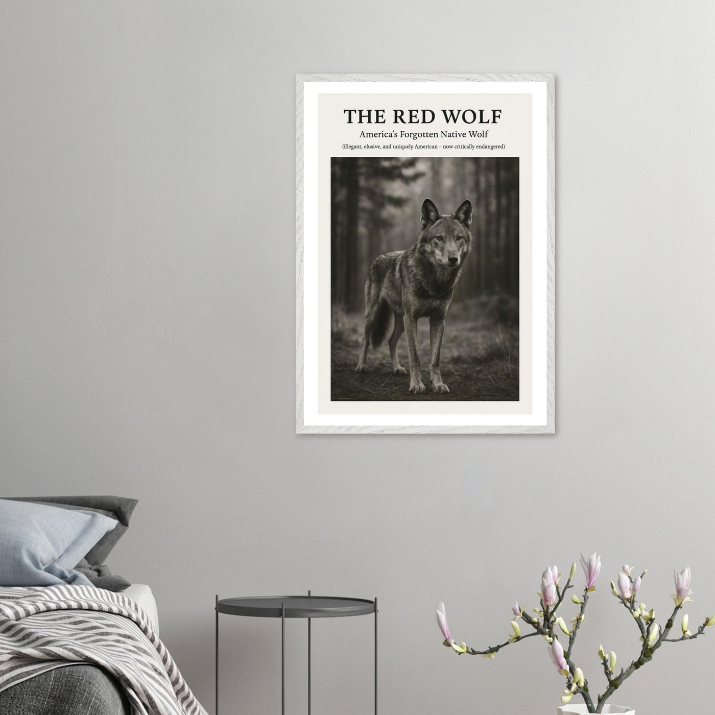 The Red Wolf – Canvas Art Print | Canvas of America