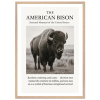 The American Bison – Canvas Art Print | Canvas of America