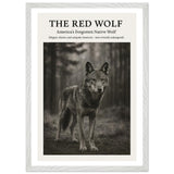 The Red Wolf – Canvas Art Print | Canvas of America
