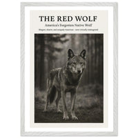 The Red Wolf – Canvas Art Print | Canvas of America
