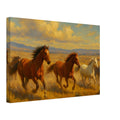 Wild Mustang Race