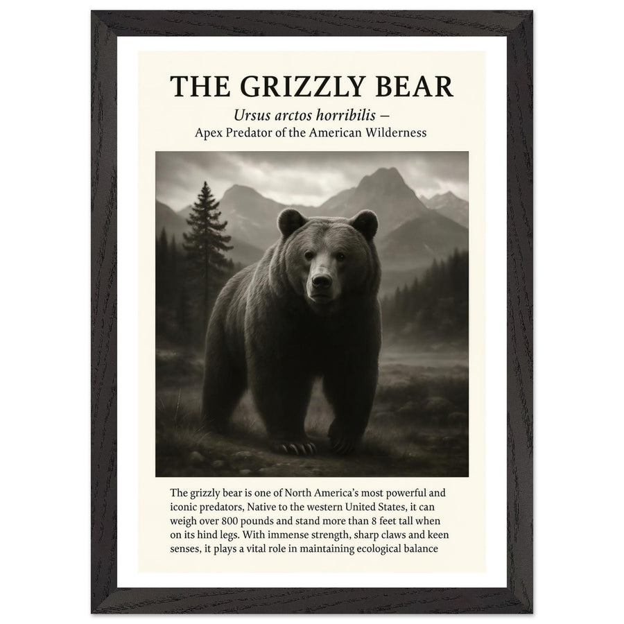 The Grizzly Bear – Canvas Art Print | Canvas of America