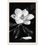 7cbcf8ef-8fc4-40ba-a31c-86b171ad22cd