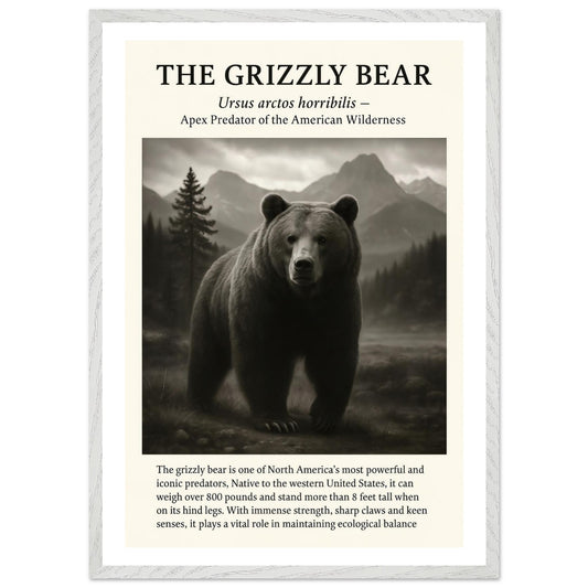 The Grizzly Bear – Canvas Art Print | Canvas of America