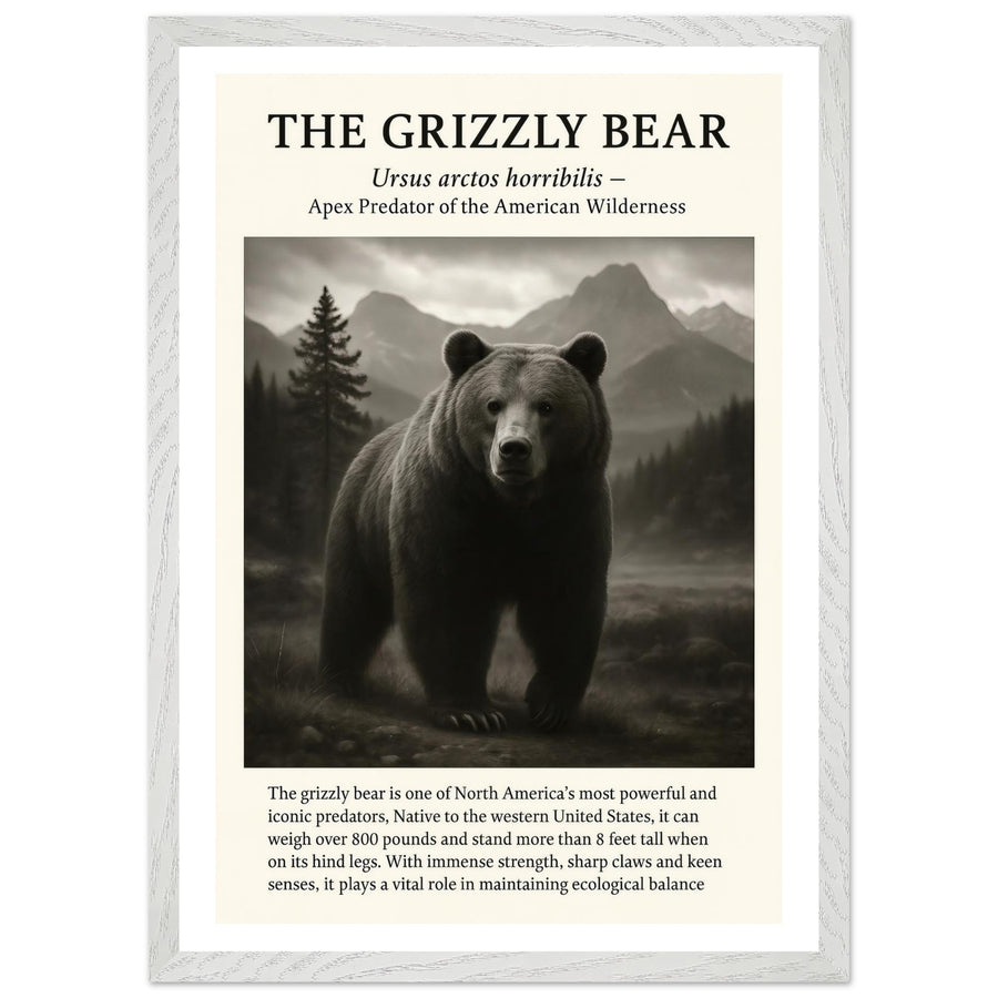 The Grizzly Bear – Canvas Art Print | Canvas of America