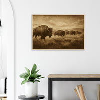 1800s Bison Herd – Canvas Art Print | Canvas of America