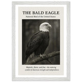 The Bald Eagle – Canvas Art Print | Canvas of America