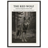 The Red Wolf – Canvas Art Print | Canvas of America