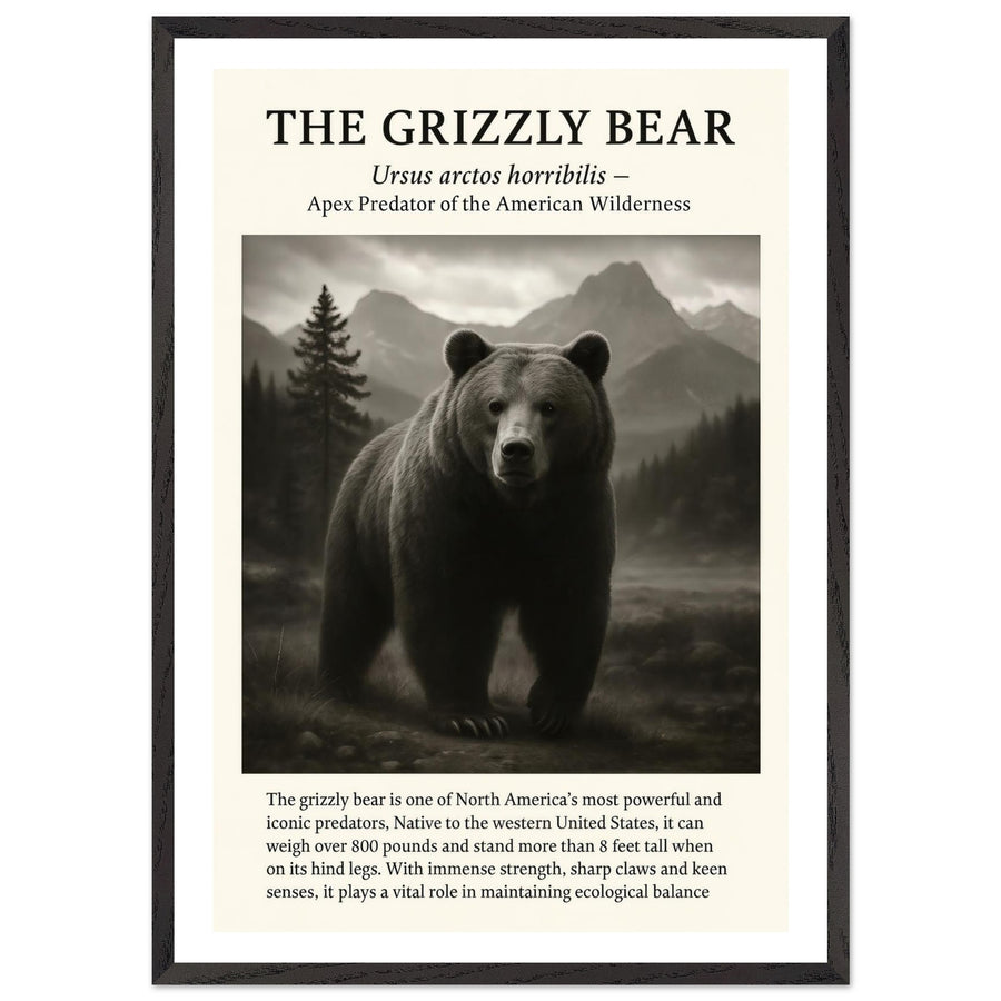 The Grizzly Bear – Canvas Art Print | Canvas of America