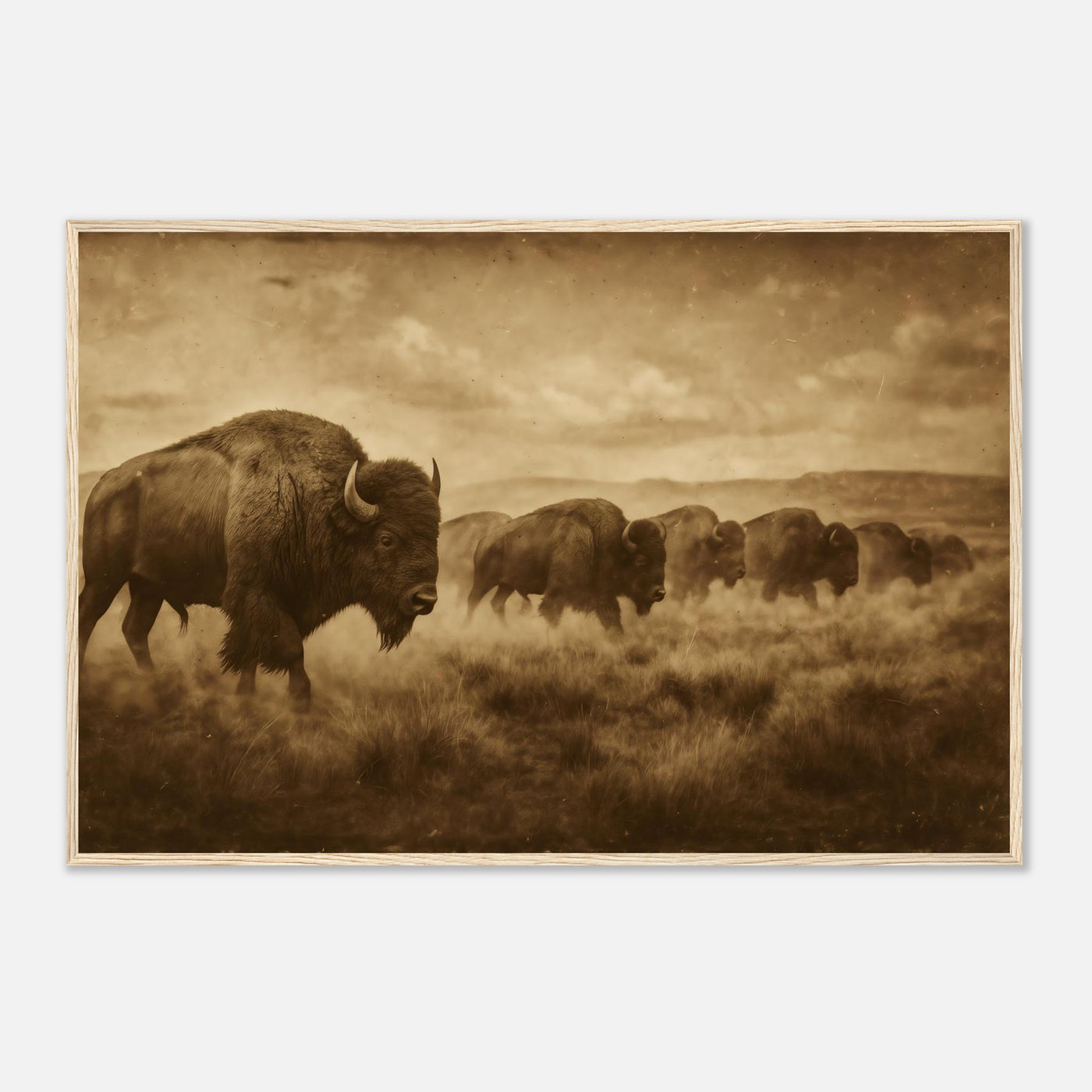 1800s Bison Herd – Canvas Art Print | Canvas of America