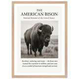 The American Bison – Canvas Art Print | Canvas of America
