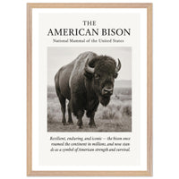 The American Bison – Canvas Art Print | Canvas of America