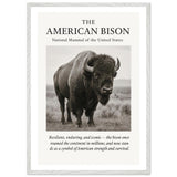 The American Bison – Canvas Art Print | Canvas of America