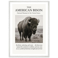 The American Bison – Canvas Art Print | Canvas of America