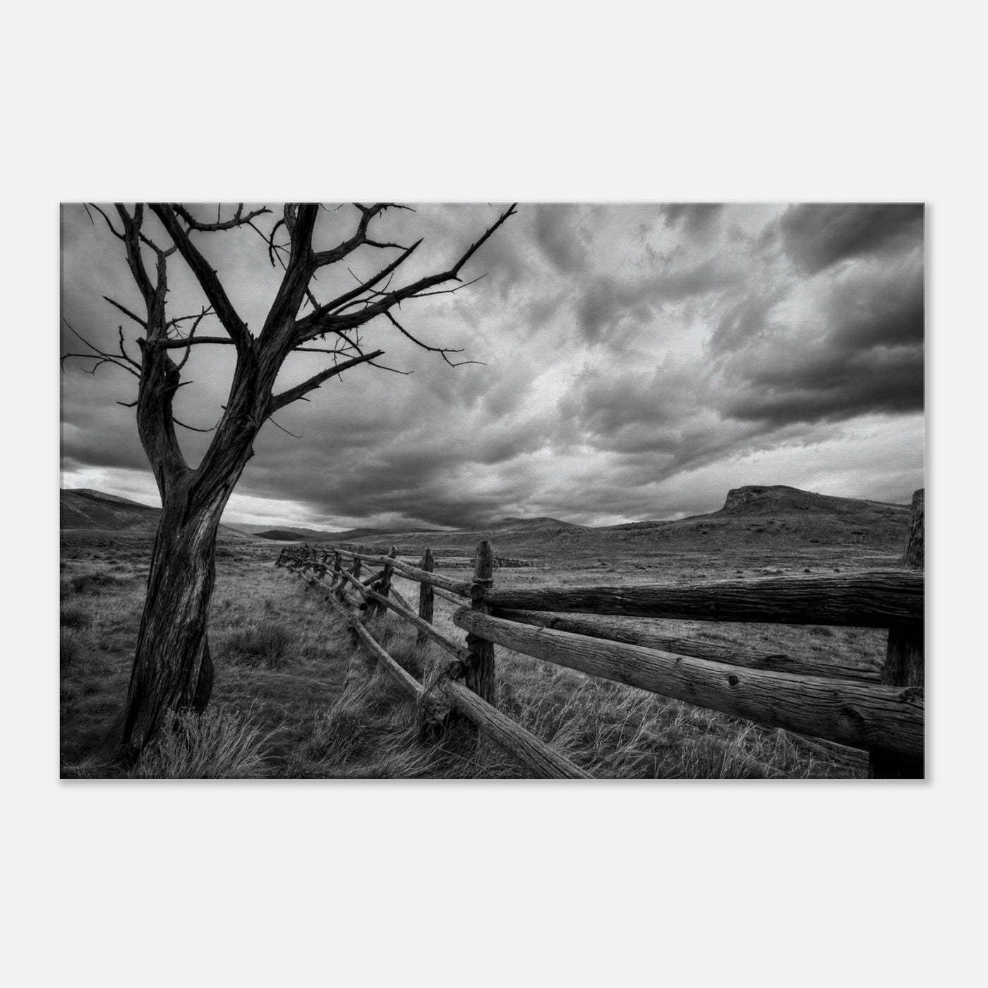 Canvas print of a lone tree and rustic fence — room view, ready to hang.