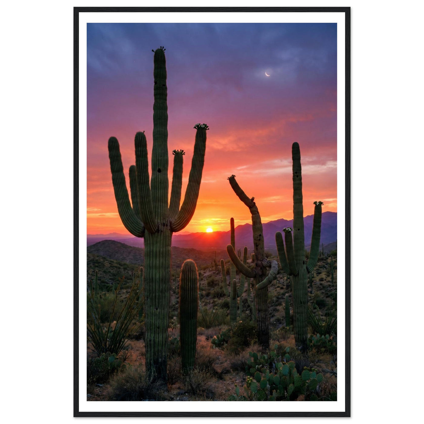 Desert Gold