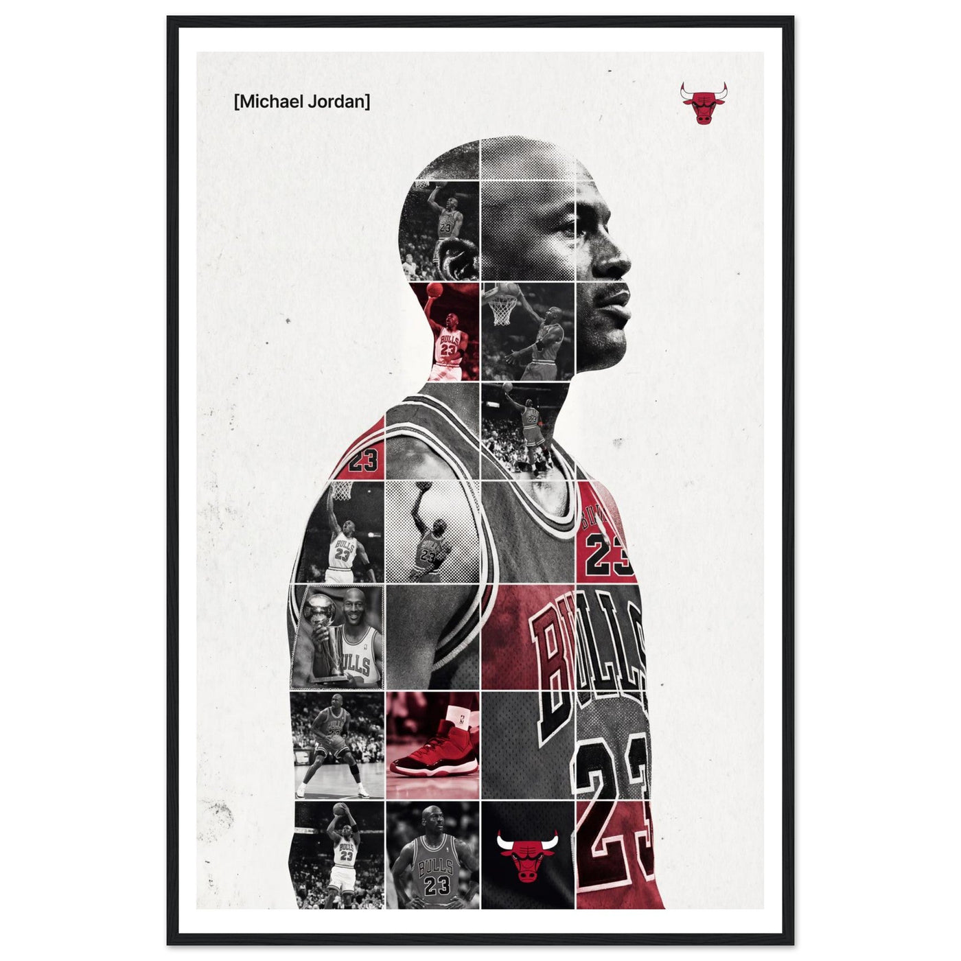 Michael Jordan — His Airness
