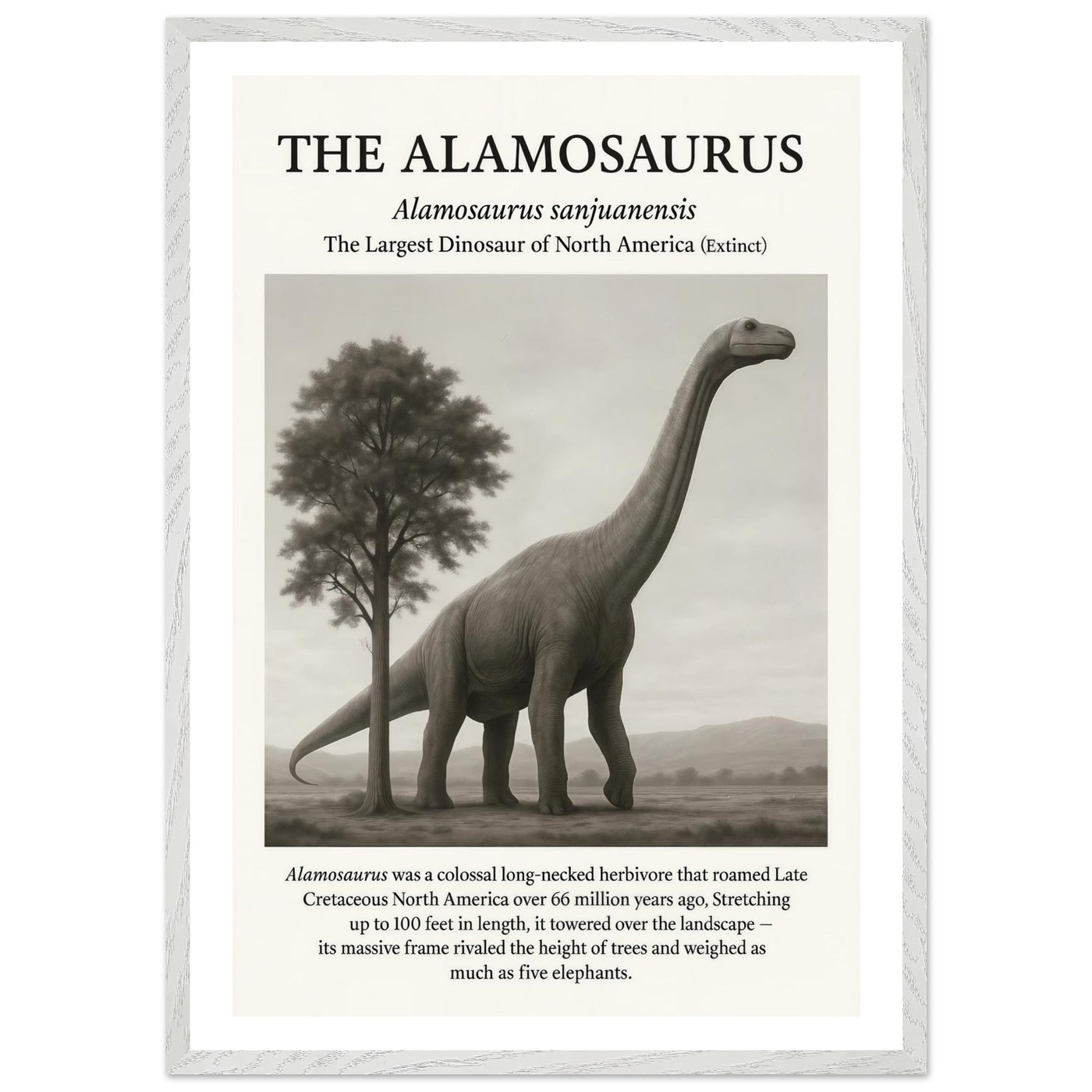 The Alamosaurus – Canvas Art Print | Canvas of America