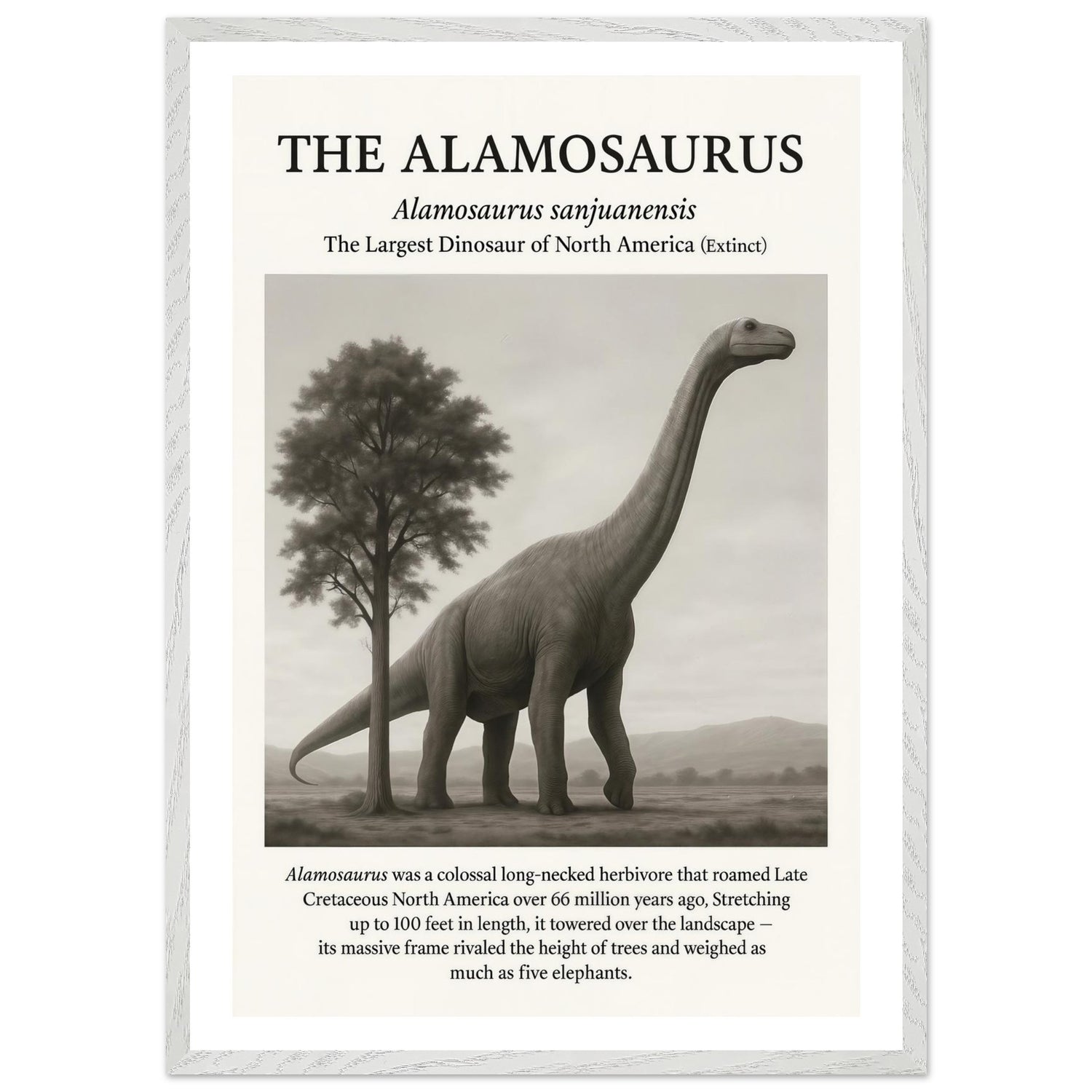 The Alamosaurus – Canvas Art Print | Canvas of America