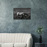 American Mustang – Canvas Art Print | Canvas of America