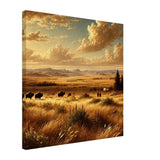Early Prairie – Canvas Art Print | Canvas of America