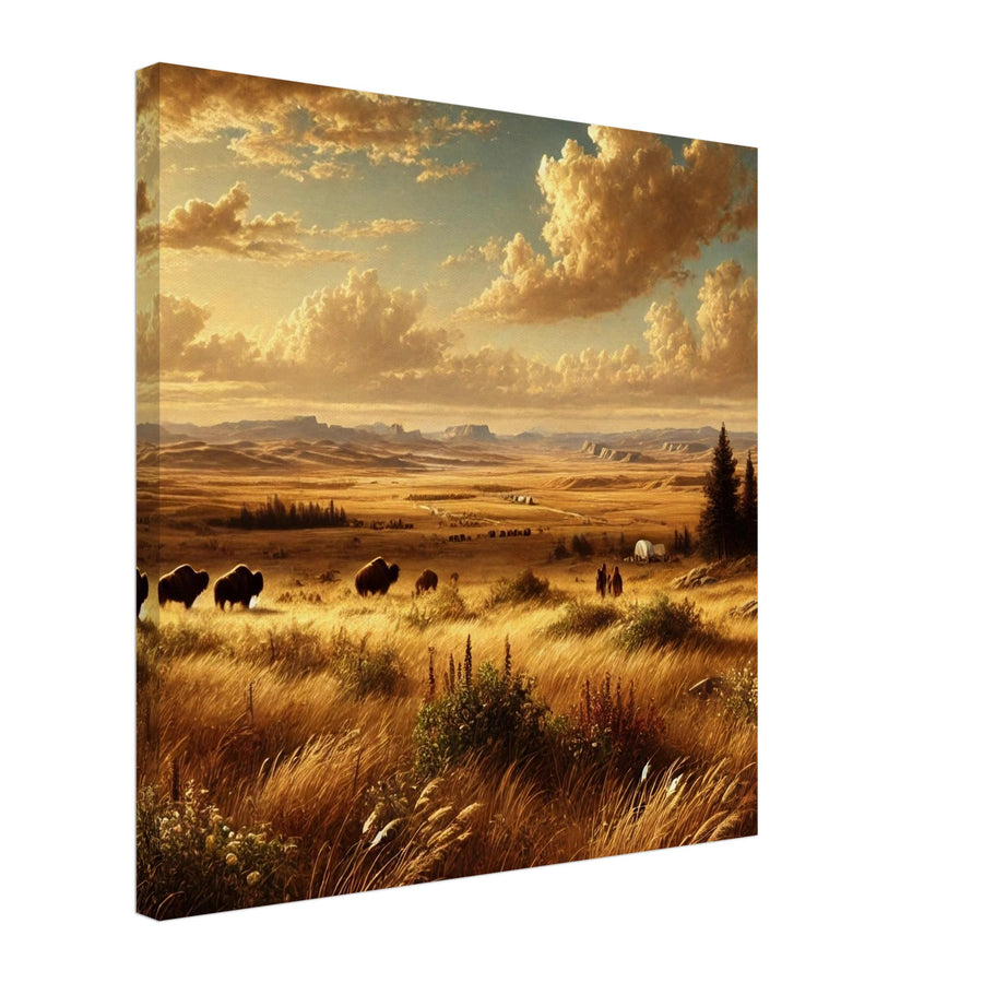 Early Prairie – Canvas Art Print | Canvas of America