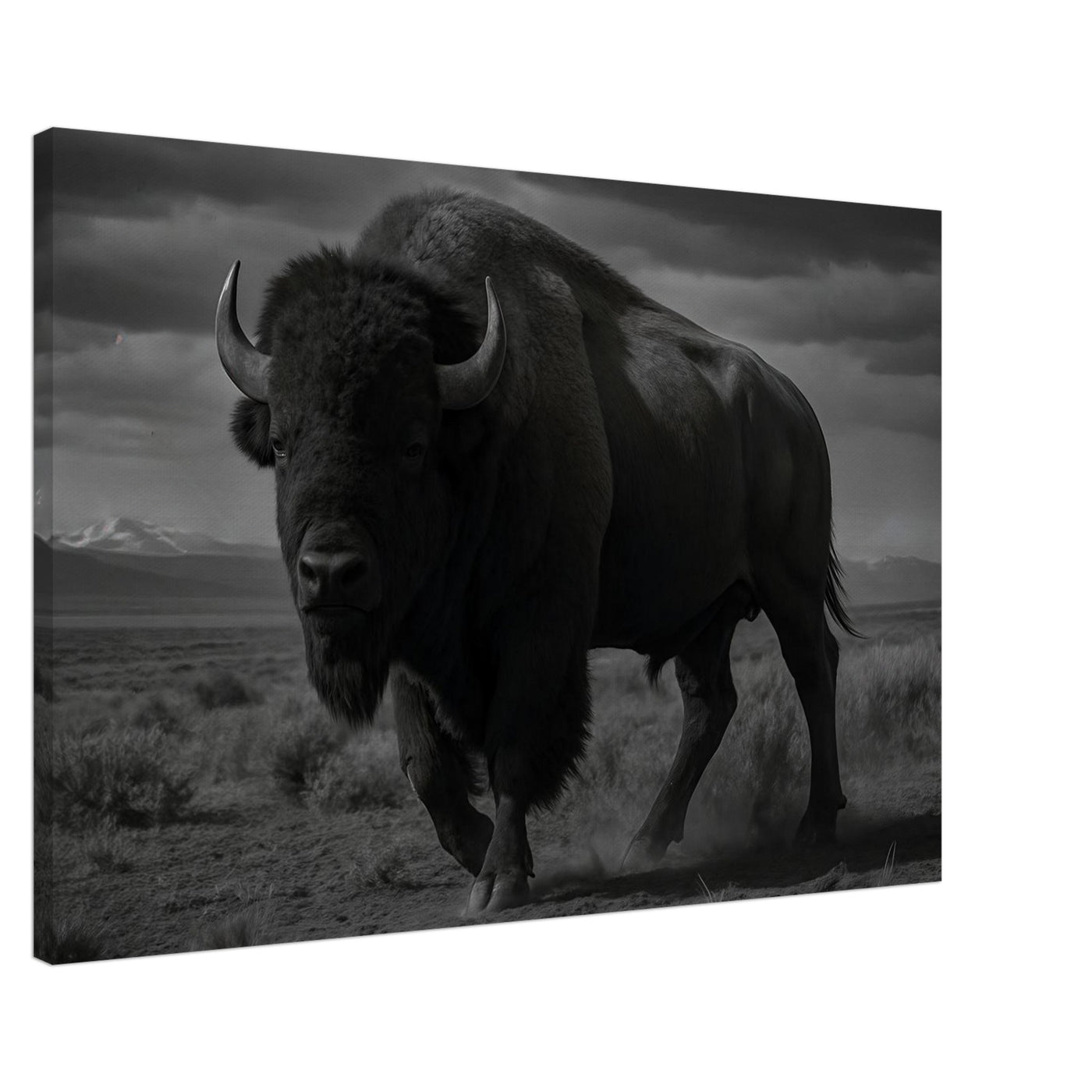 American Bison – Canvas Art Print | Canvas of America
