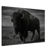 American Bison – Canvas Art Print | Canvas of America