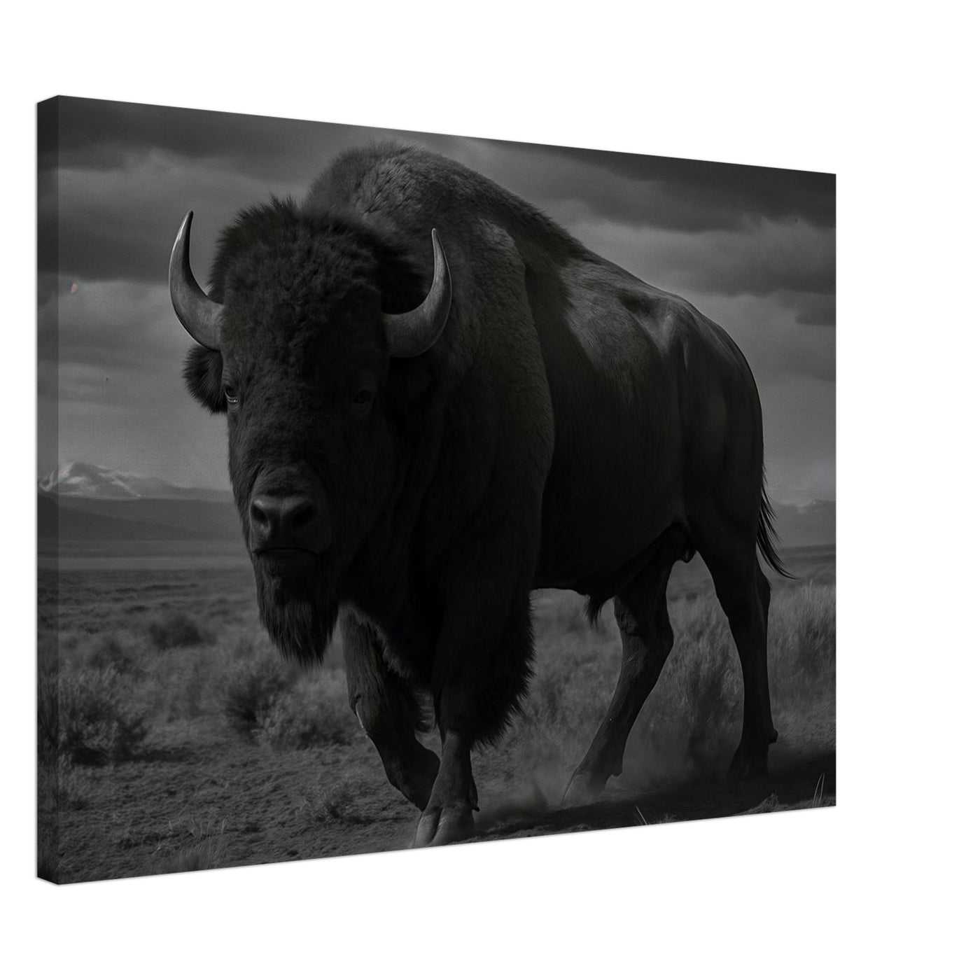 American Bison – Canvas Art Print | Canvas of America