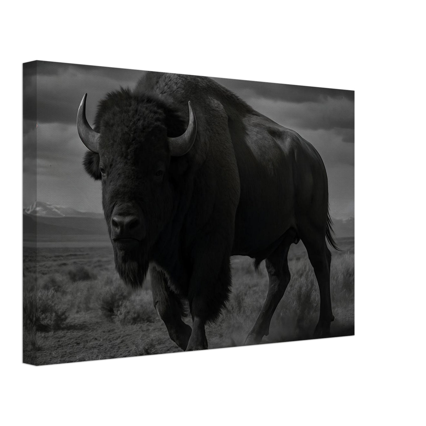 American Bison – Canvas Art Print | Canvas of America