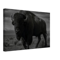 American Bison – Canvas Art Print | Canvas of America