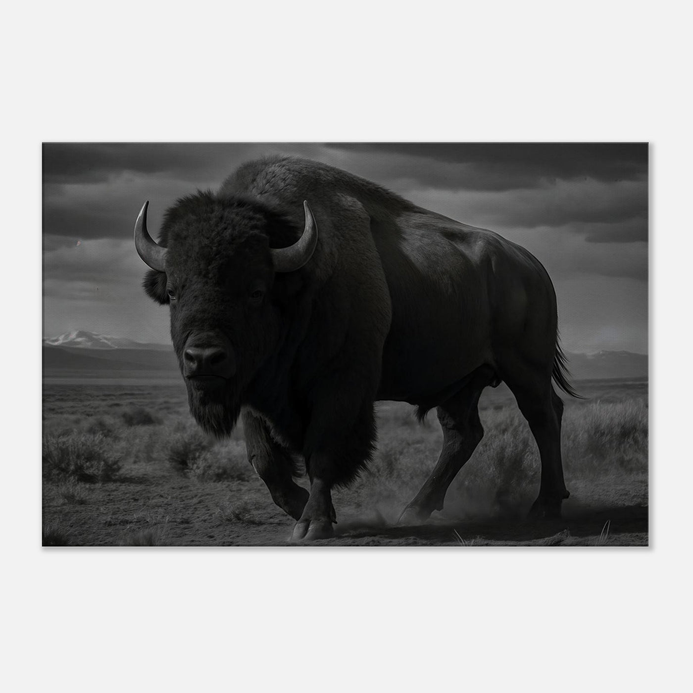 American Bison – Canvas Art Print | Canvas of America