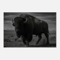 American Bison – Canvas Art Print | Canvas of America