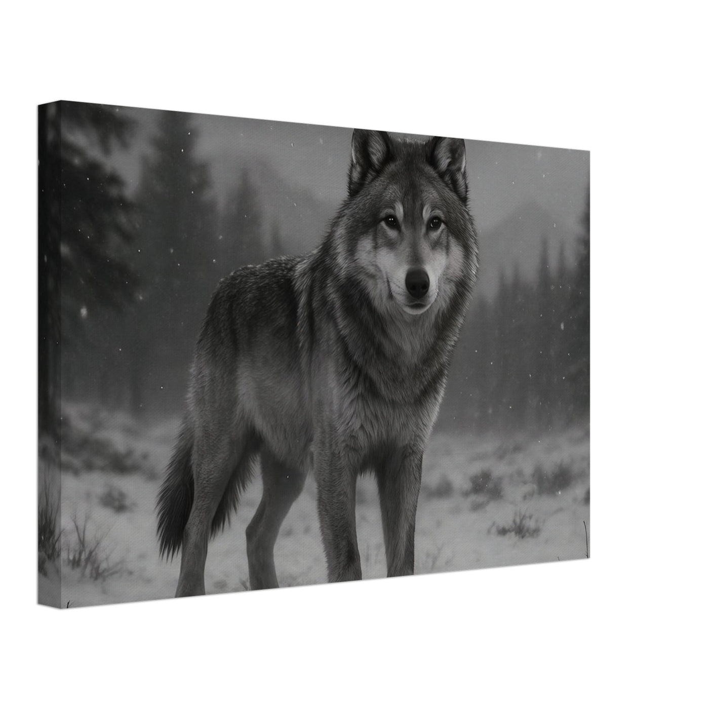 American Grey Wolf – Canvas Art Print | Canvas of America