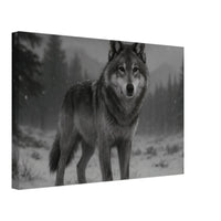 American Grey Wolf – Canvas Art Print | Canvas of America