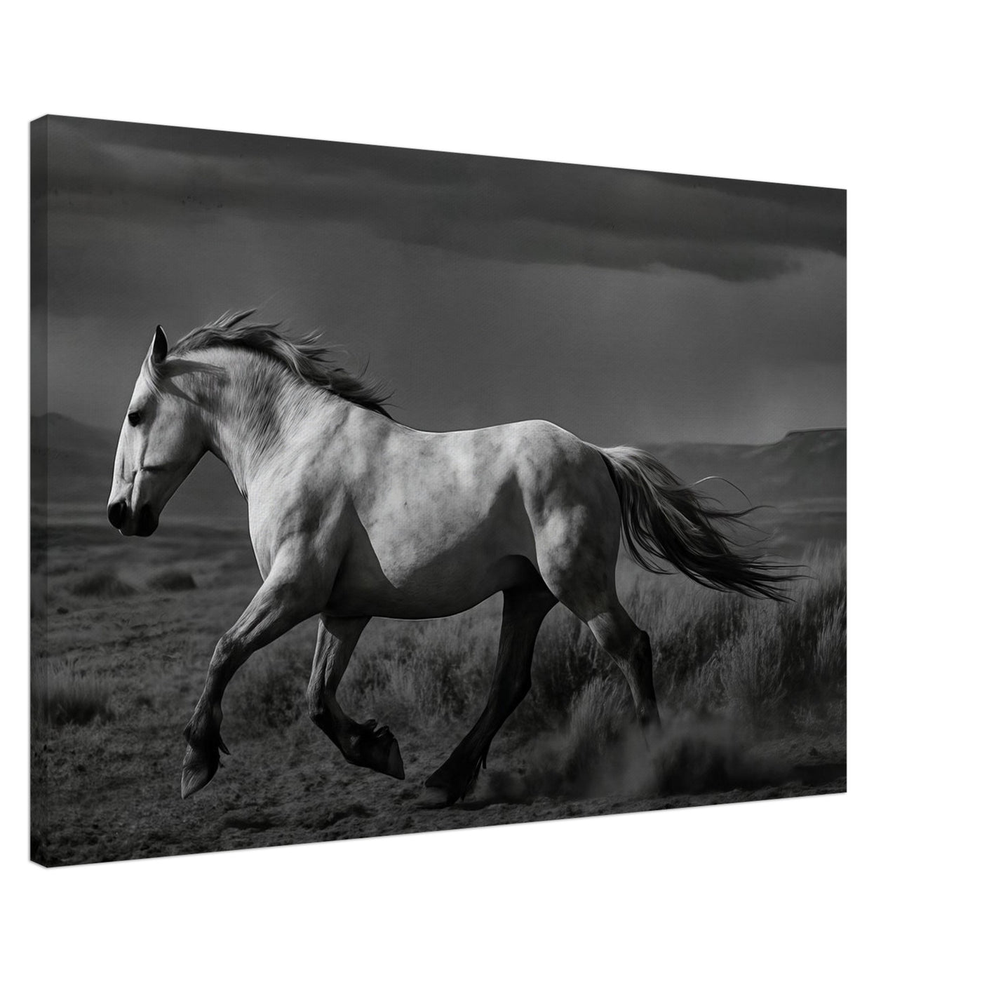 American Mustang – Canvas Art Print | Canvas of America