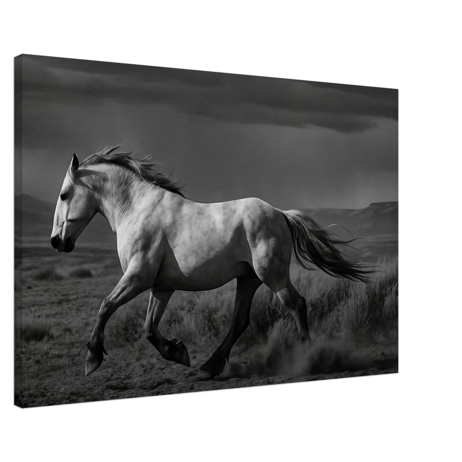 American Mustang – Canvas Art Print | Canvas of America