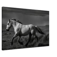 American Mustang – Canvas Art Print | Canvas of America