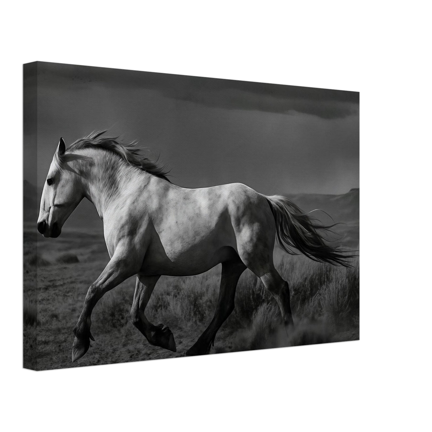 American Mustang – Canvas Art Print | Canvas of America