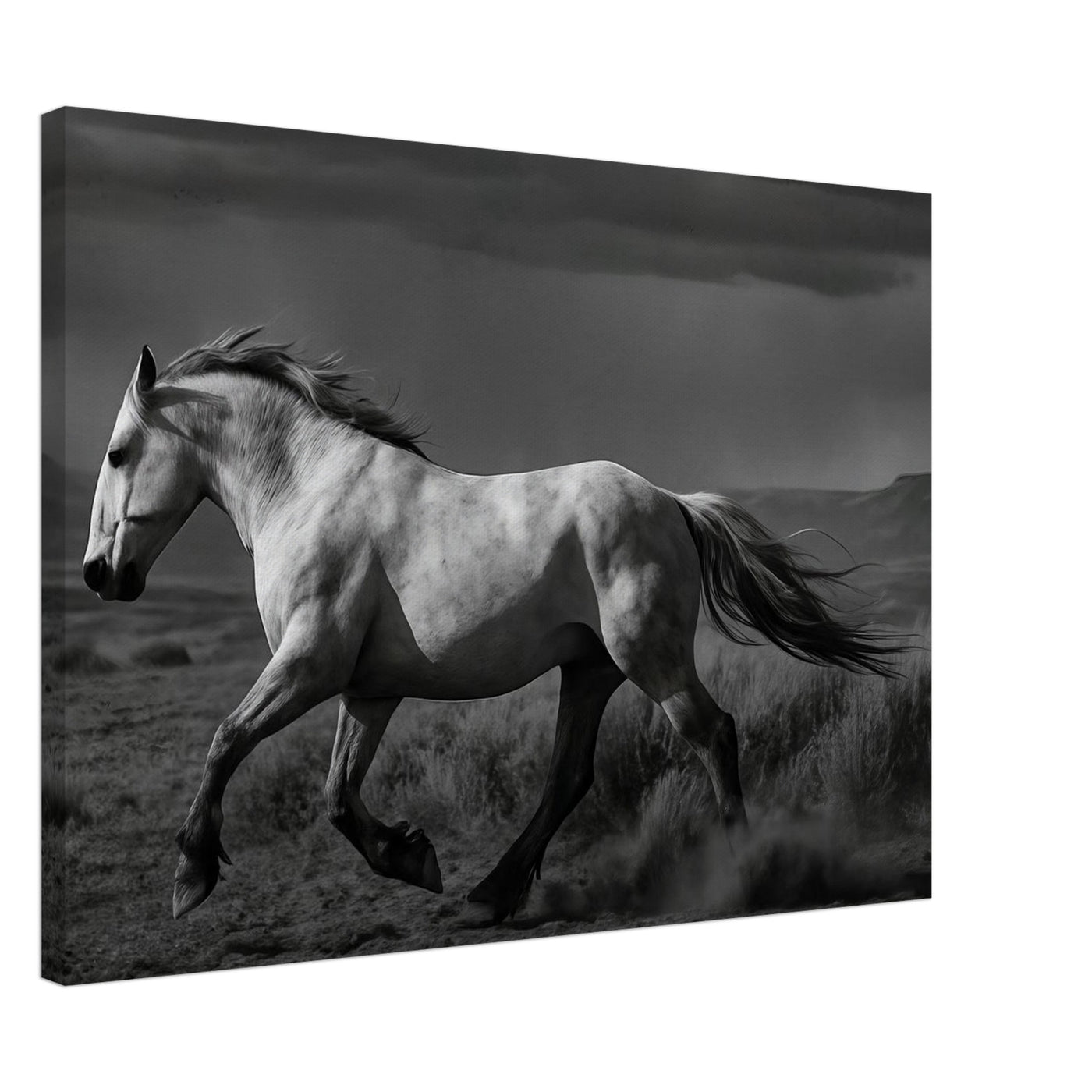 American Mustang – Canvas Art Print | Canvas of America