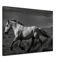American Mustang – Canvas Art Print | Canvas of America