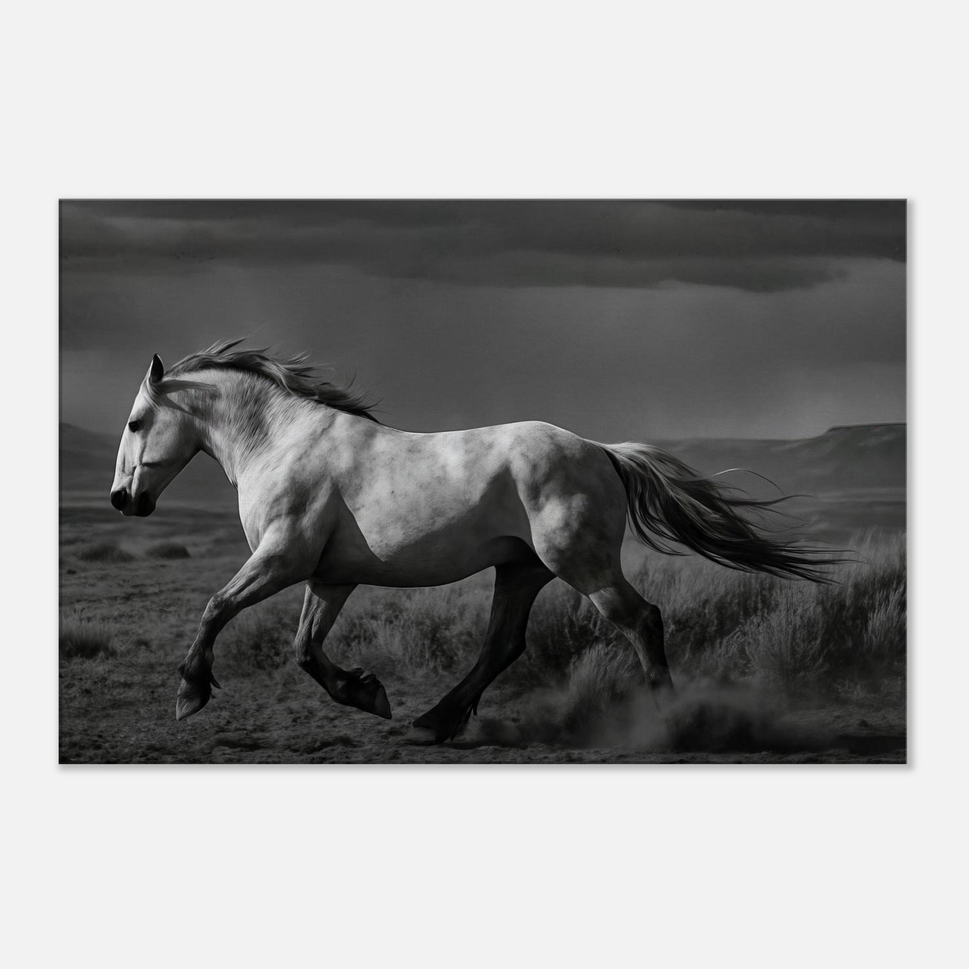 American Mustang – Canvas Art Print | Canvas of America