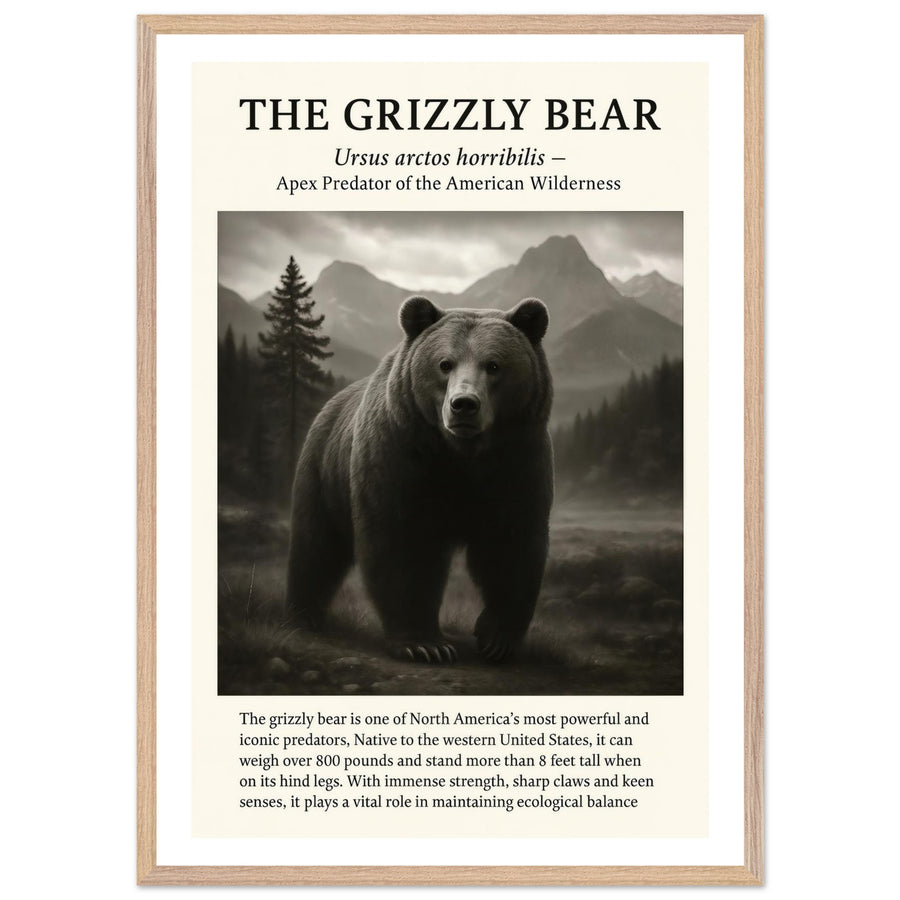 The Grizzly Bear – Canvas Art Print | Canvas of America