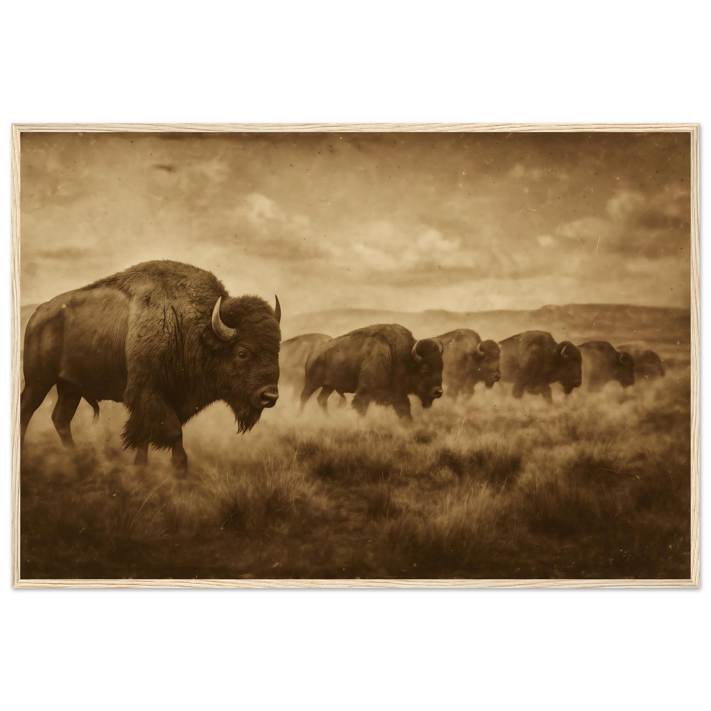 1800s Bison Herd – Canvas Art Print | Canvas of America